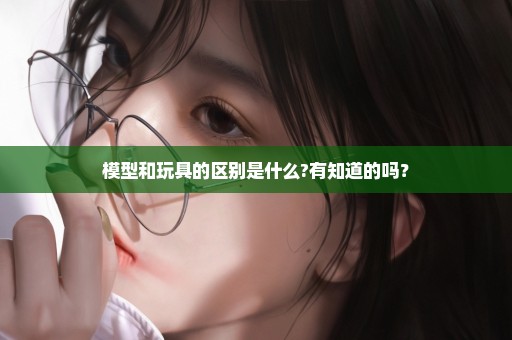 模型和玩具的区别是什么?有知道的吗？
