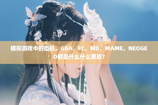 模拟游戏中的街机，GBA，FC，MD，MAME，NEOGEO都是什么什么意思？
