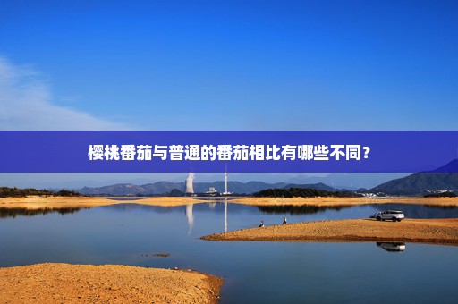 樱桃番茄与普通的番茄相比有哪些不同？