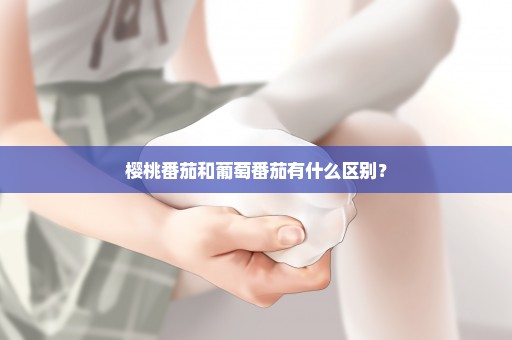 樱桃番茄和葡萄番茄有什么区别？