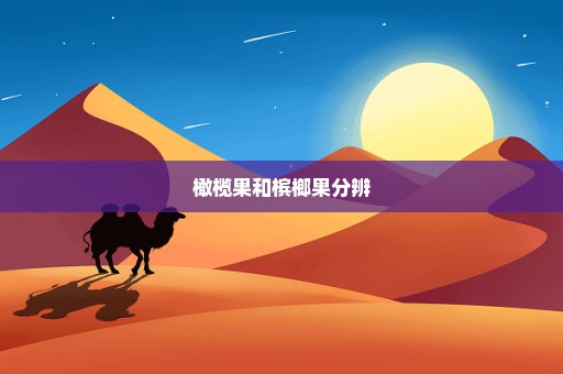 橄榄果和槟榔果分辨