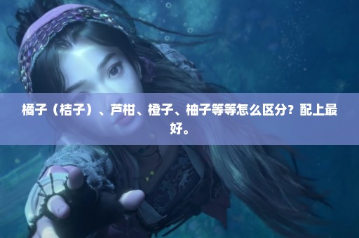 橘子（桔子）、芦柑、橙子、柚子等等怎么区分？配上最好。