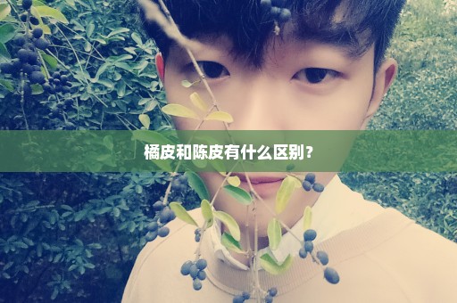 橘皮和陈皮有什么区别？