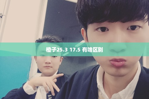 橙子25.3 17.5 有啥区别