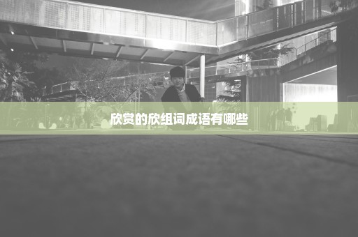 欣赏的欣组词成语有哪些