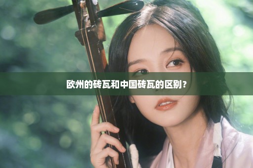 欧州的砖瓦和中国砖瓦的区别？