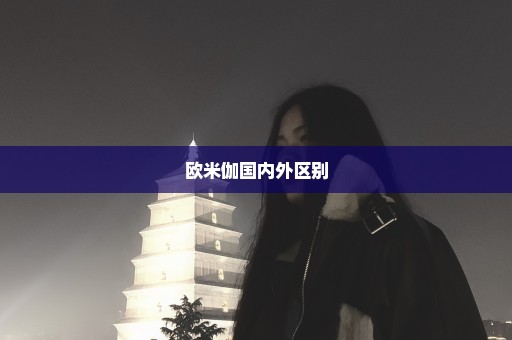 欧米伽国内外区别