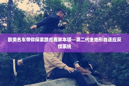 欧美名车带你探索路虎看家本领—第二代全地形自适应反馈系统