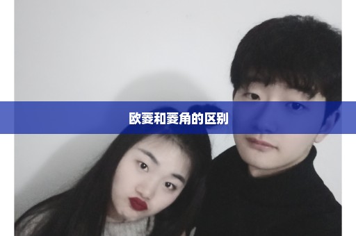 欧菱和菱角的区别