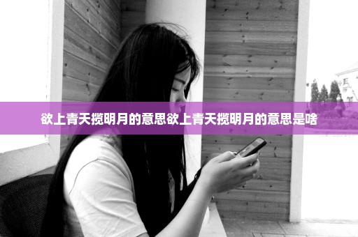 欲上青天揽明月的意思欲上青天揽明月的意思是啥