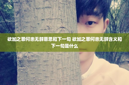 欲加之罪何患无辞意思和下一句 欲加之罪何患无辞含义和下一句是什么