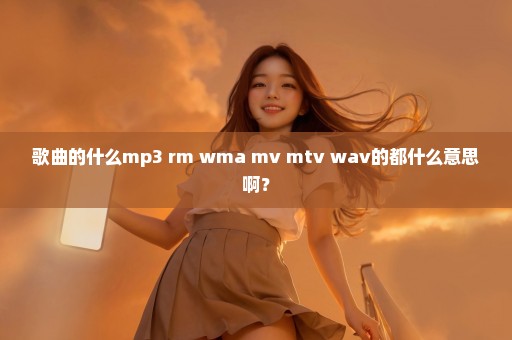 歌曲的什么mp3 rm wma mv mtv wav的都什么意思啊？
