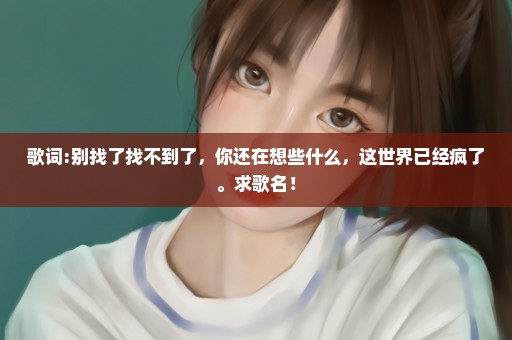 歌词:别找了找不到了，你还在想些什么，这世界已经疯了。求歌名！