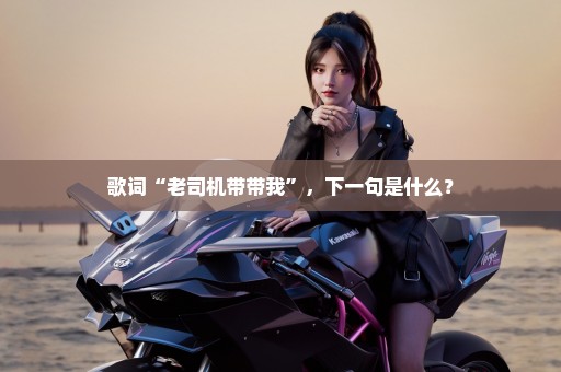 歌词“老司机带带我”，下一句是什么？