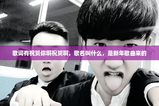 歌词有祝贺你啊祝贺啊，歌名叫什么，是新年歌曲来的