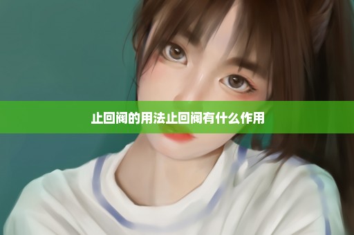 止回阀的用法止回阀有什么作用