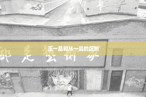 正一品和从一品的区别