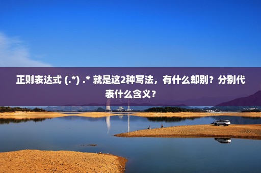 正则表达式 (.*) .* 就是这2种写法，有什么却别？分别代表什么含义？