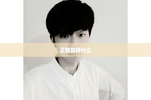 正数包括什么