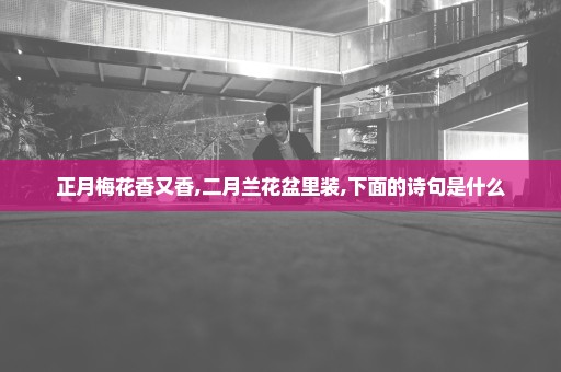 正月梅花香又香,二月兰花盆里装,下面的诗句是什么