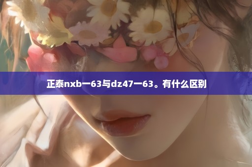 正泰nxb一63与dz47一63。有什么区别