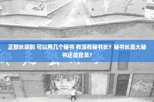 正部长级别 可以用几个秘书 有没有秘书长？秘书长是大秘书还是官员？