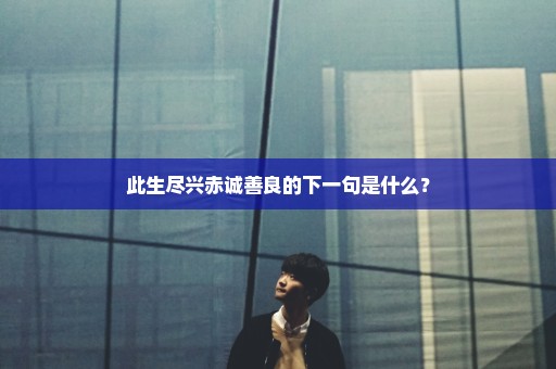 此生尽兴赤诚善良的下一句是什么？
