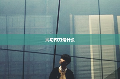 武功内力是什么
