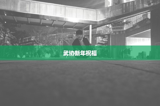 武协新年祝福