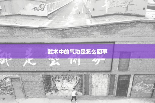 武术中的气功是怎么回事