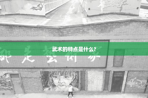 武术的特点是什么?