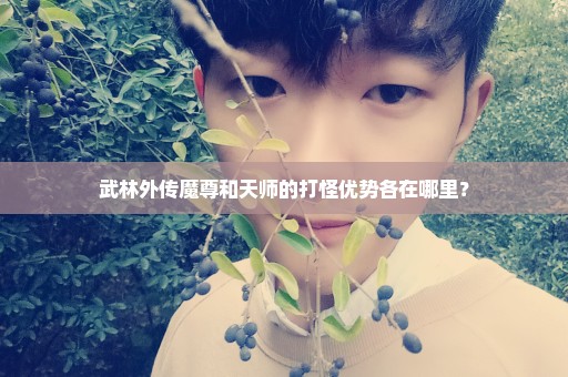 武林外传魔尊和天师的打怪优势各在哪里？