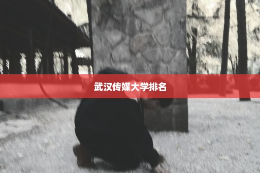 武汉传媒大学排名