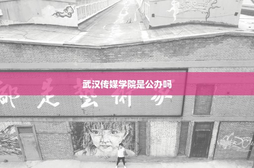 武汉传媒学院是公办吗