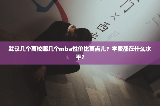 武汉几个高校哪几个mba性价比高点儿？学费都在什么水平？