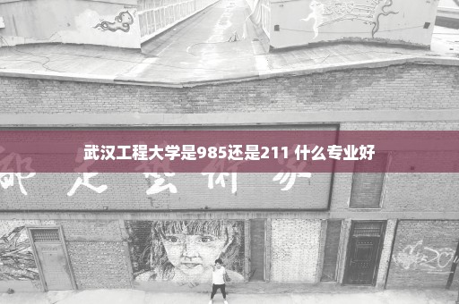 武汉工程大学是985还是211 什么专业好