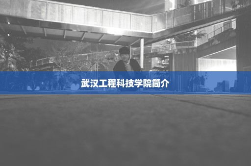 武汉工程科技学院简介