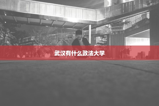 武汉有什么政法大学