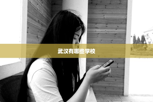 武汉有哪些学校