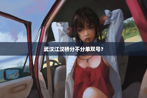 武汉江汉桥分不分单双号？