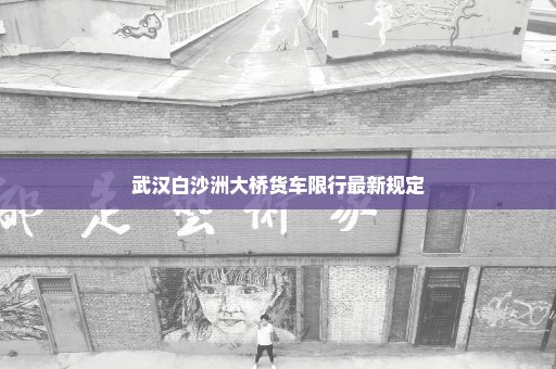 武汉白沙洲大桥货车限行最新规定