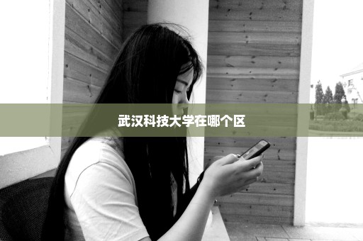 武汉科技大学在哪个区