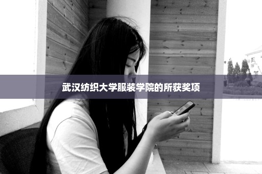 武汉纺织大学服装学院的所获奖项