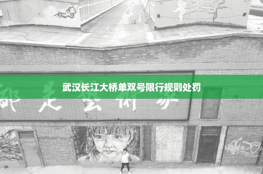 武汉长江大桥单双号限行规则处罚
