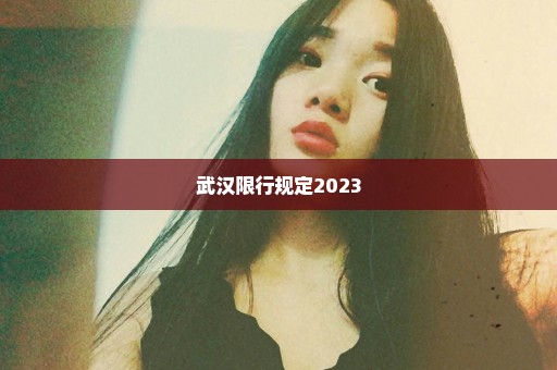 武汉限行规定2023
