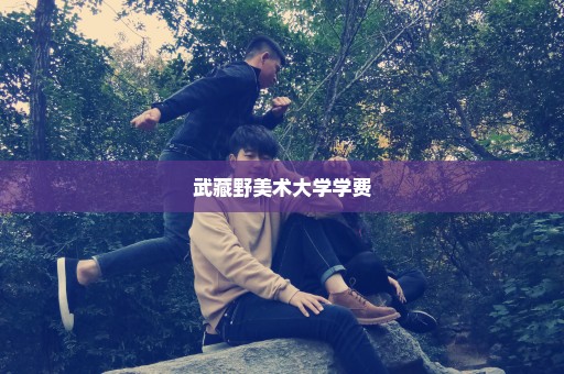 武藏野美术大学学费