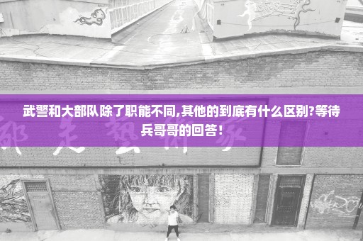 武警和大部队除了职能不同,其他的到底有什么区别?等待兵哥哥的回答！
