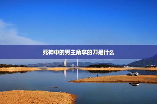 死神中的男主角拿的刀是什么