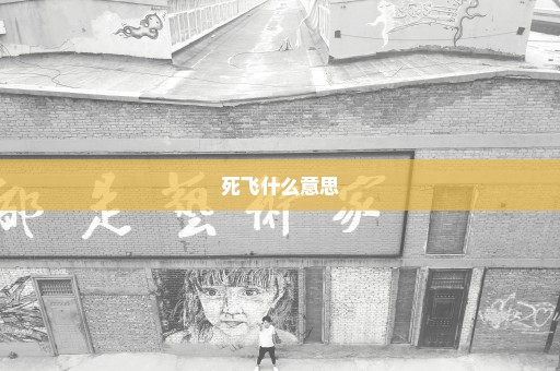 死飞什么意思