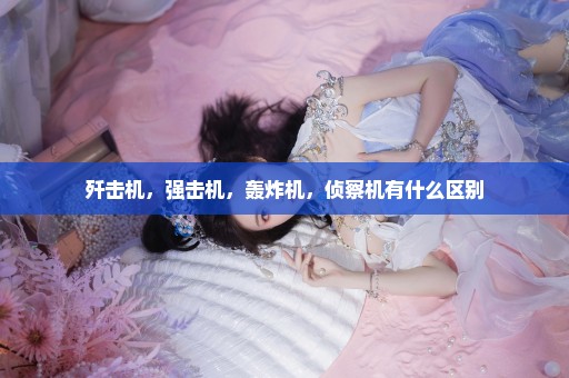 歼击机，强击机，轰炸机，侦察机有什么区别